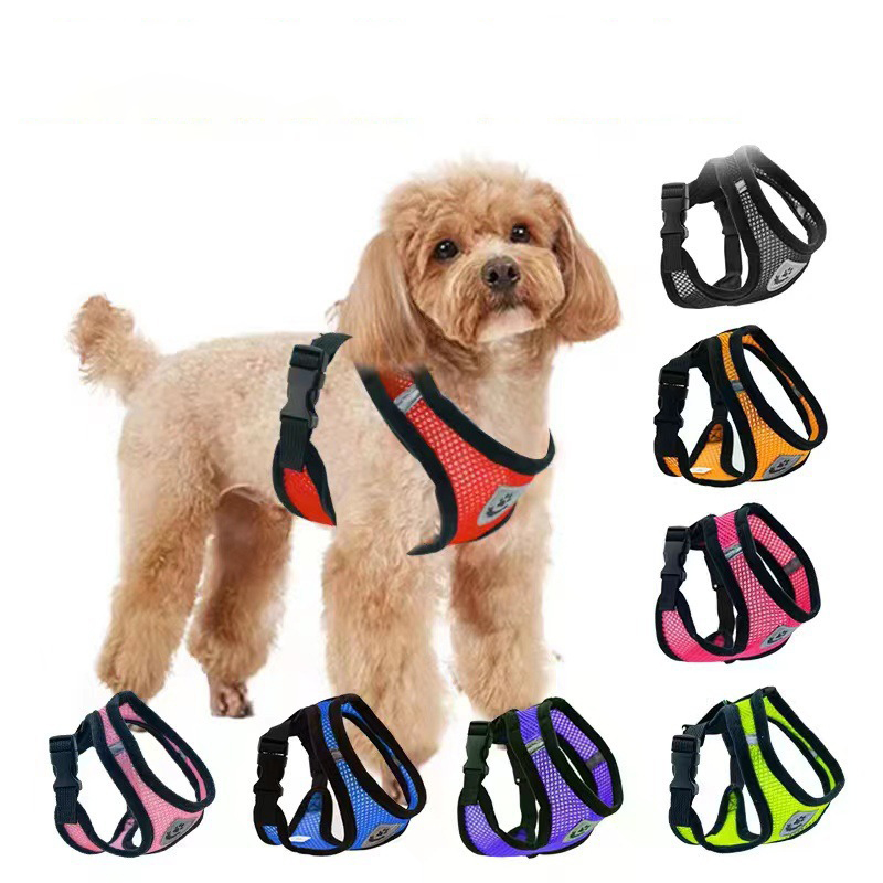 Hete zomer kleine hond huisdie - Mini Trampoline Spring recensie en prijs