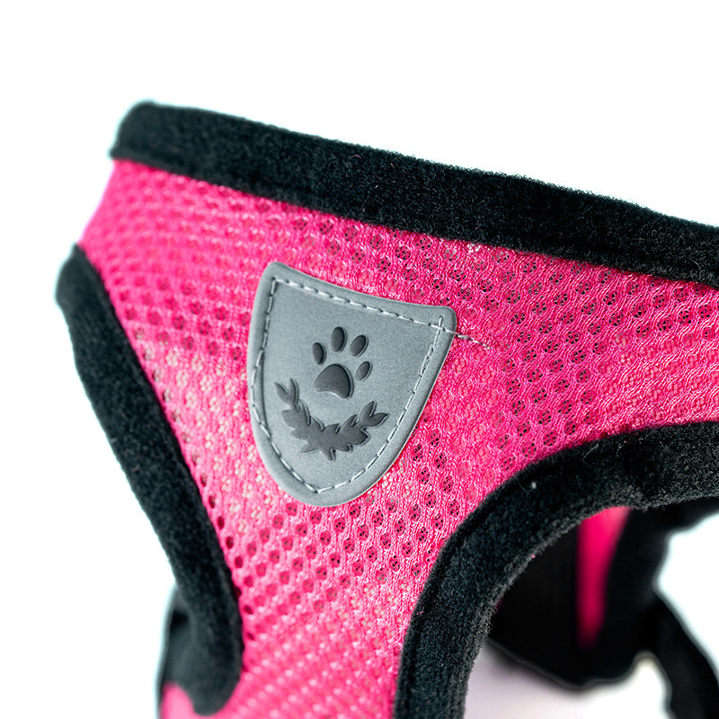 Hete zomer kleine hond huisdie - Mini Trampoline Spring recensie en prijs