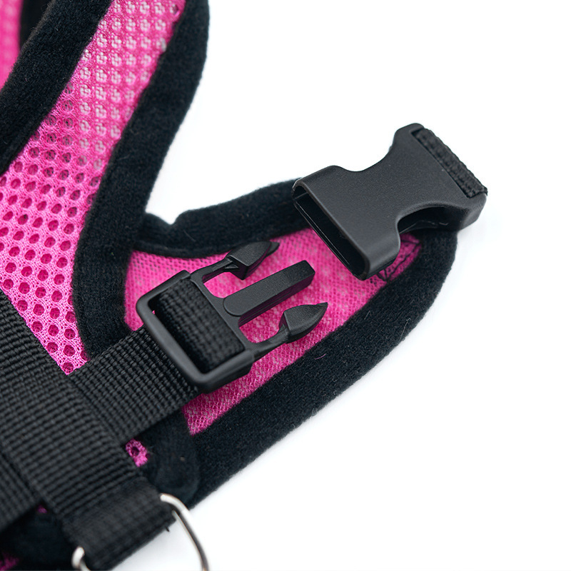 Hete zomer kleine hond huisdie - Mini Trampoline Spring recensie en prijs