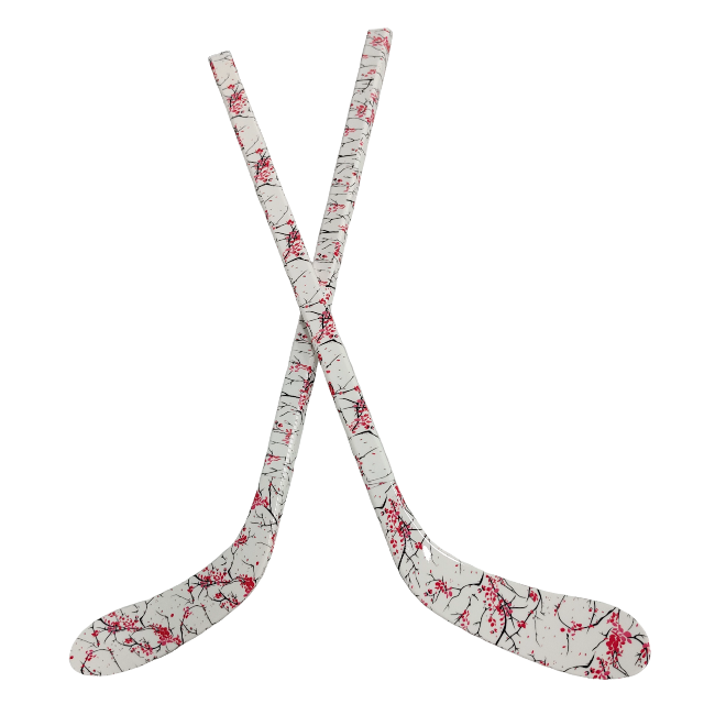 Kinderen Duurzaam ABS Ijshocke - Kids Outdoor Hockey Sticks recensie en prijs